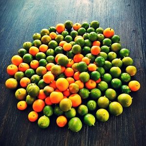 Meet your Posher, Don